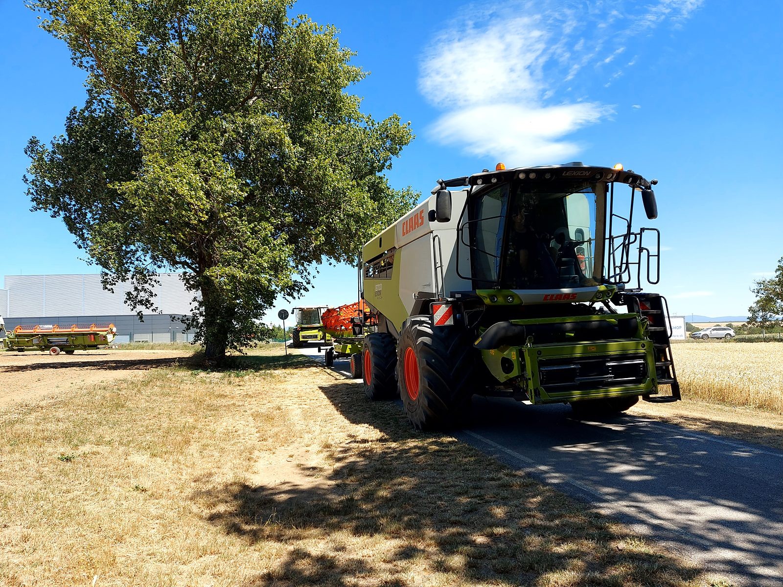 Poľnohospodárska výroba TRITICUM — záber 5