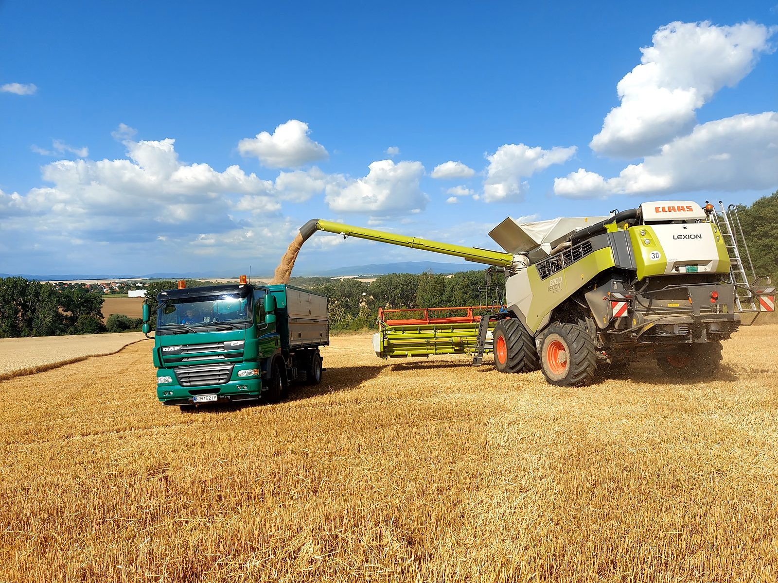 Poľnohospodárska výroba TRITICUM — záber 6